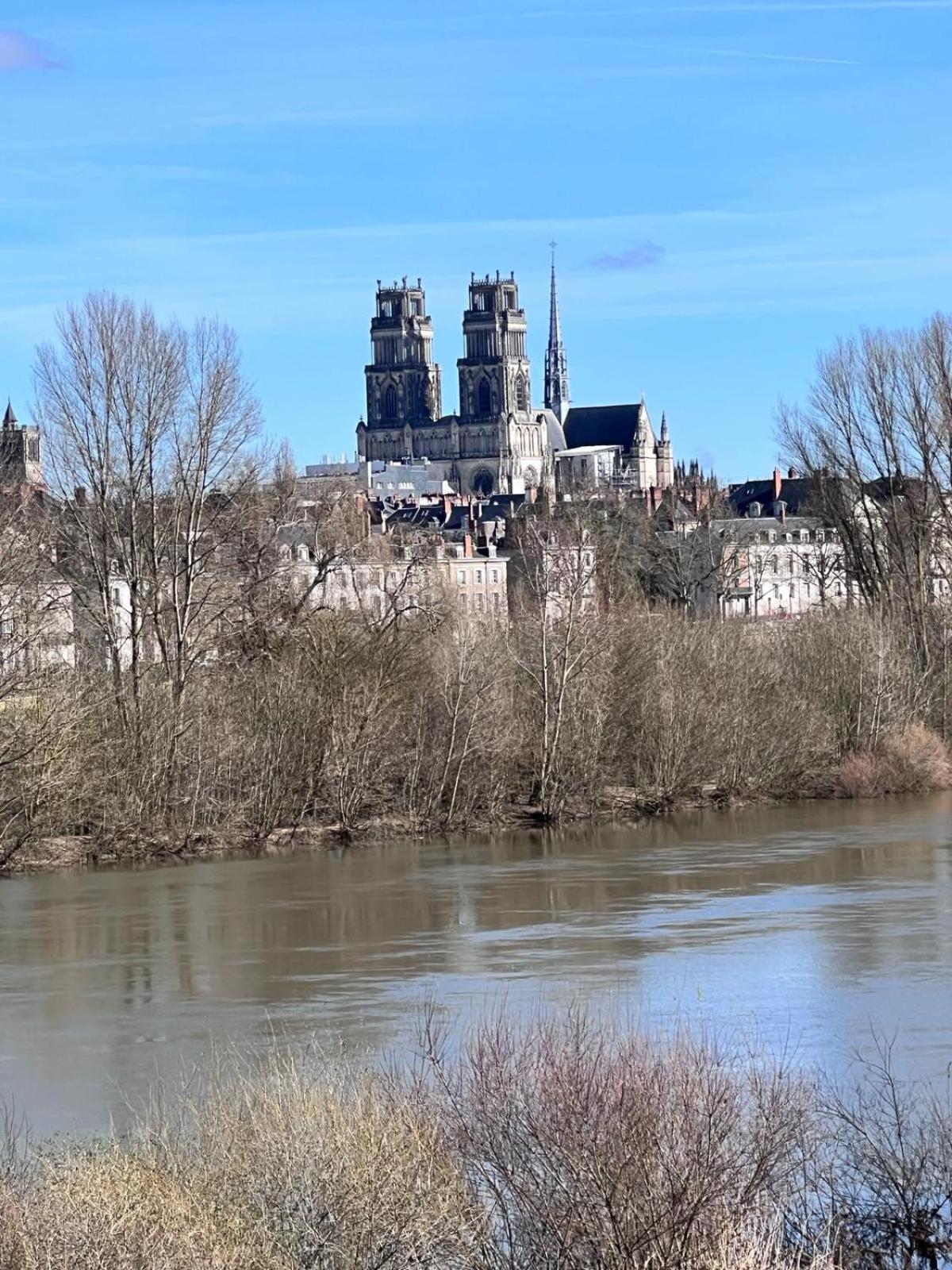 Appartement Au Duleing House Orleans Bagian luar foto