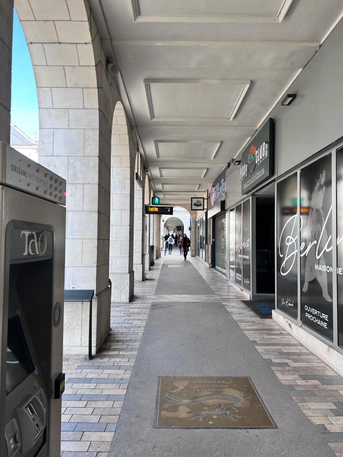 Appartement Au Duleing House Orleans Bagian luar foto